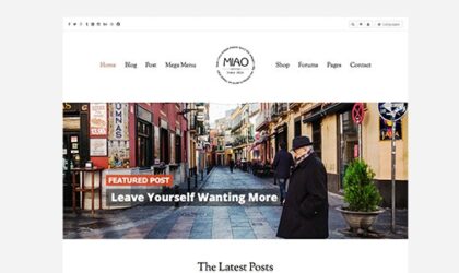 Premium WordPress Theme name: Miao