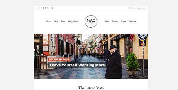 Premium WordPress Theme name: Miao