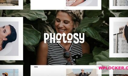 Premium WordPress Theme name: Photosy