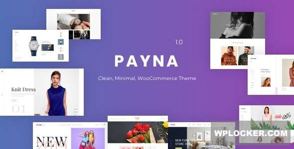 Premium WordPress Theme name: Payna