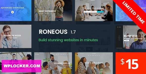 Premium WordPress Theme name: Roneous