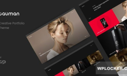 Premium WordPress Theme name: Bauman