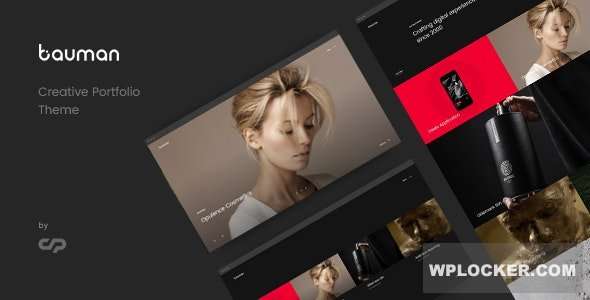 Premium WordPress Theme name: Bauman