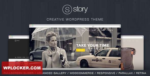 Premium WordPress Theme name: Story