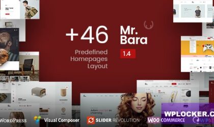 Premium WordPress Theme name: Mr.Bara