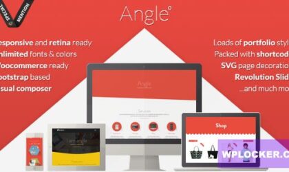 Premium WordPress Theme name: Angle