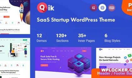 Premium WordPress Theme name: Qik