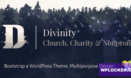 Premium WordPress Theme name: Divinity