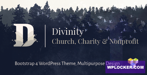 Premium WordPress Theme name: Divinity