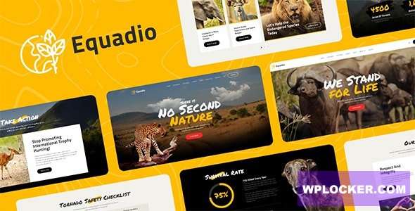 Premium WordPress Theme name: Equadio