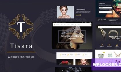 Premium WordPress Theme name: Tisara