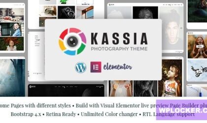 Premium WordPress Theme name: Kassia