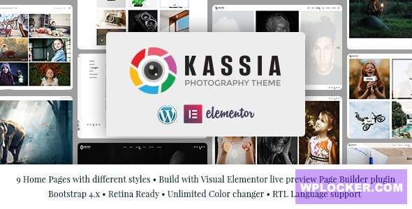 Premium WordPress Theme name: Kassia