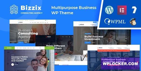 Premium WordPress Theme name: Bizzix