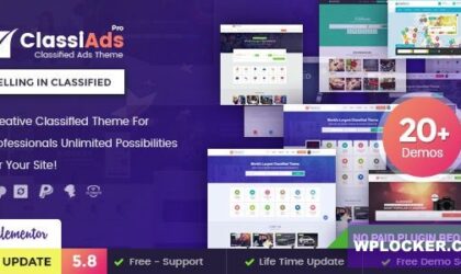 Premium WordPress Theme name: Classiads