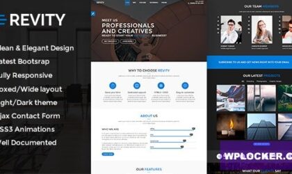 Premium WordPress Theme name: Revity