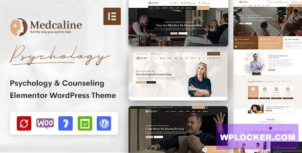 Premium WordPress Theme name: Medcaline