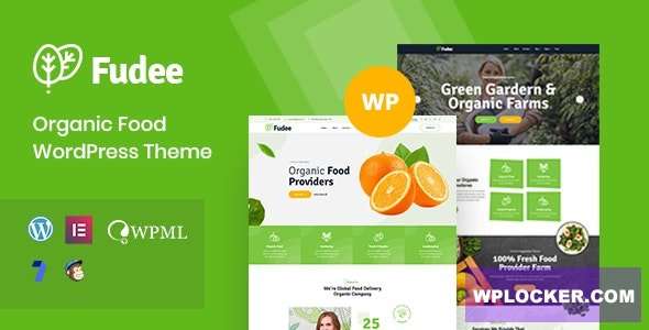 Premium WordPress Theme name: Fudee