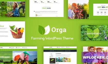 Premium WordPress Theme name: Orga