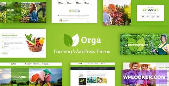 Premium WordPress Theme name: Orga