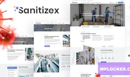 Premium WordPress Theme name: Sanitizex