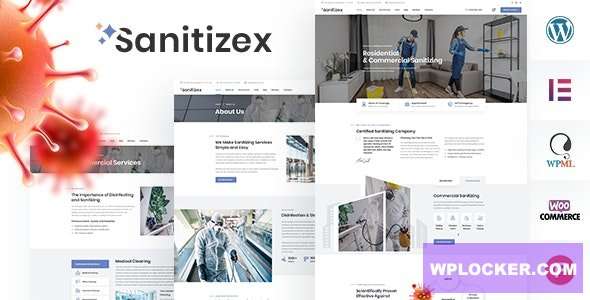 Premium WordPress Theme name: Sanitizex