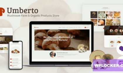 Premium WordPress Theme name: Umberto