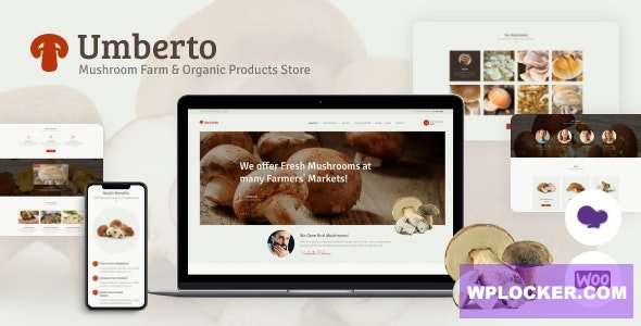 Premium WordPress Theme name: Umberto