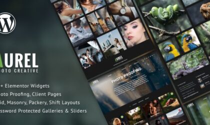 Premium WordPress Theme name: Photography