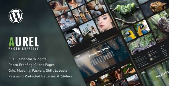 Premium WordPress Theme name: Photography