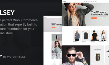 Premium WordPress Theme name: Elsey