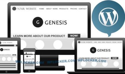 Premium WordPress Theme name: Genesis