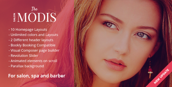 Premium WordPress Theme name: Modis