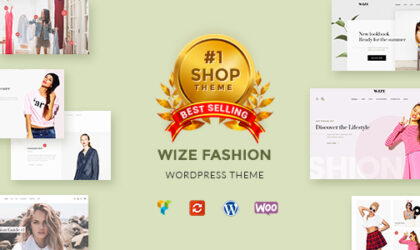 Premium WordPress Theme name: WizeStore