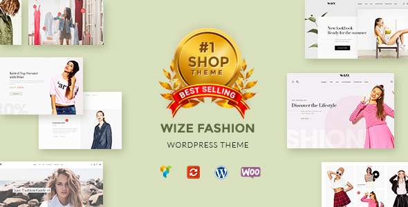 Premium WordPress Theme name: WizeStore