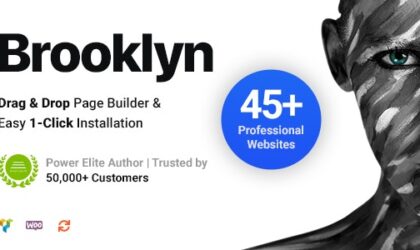 Premium WordPress Theme name: Brooklyn