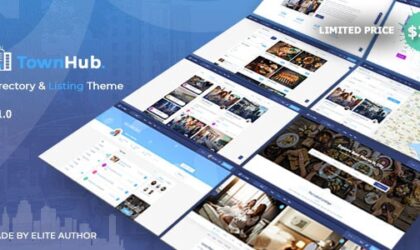 Premium WordPress Theme name: TownHub