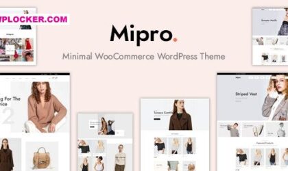 Premium WordPress Theme name: Mipro