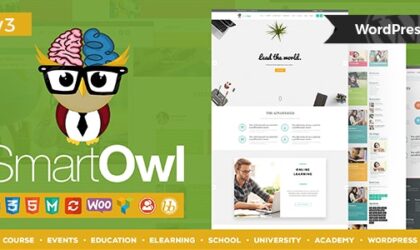 Premium WordPress Theme name: SmartOWL