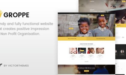 Premium WordPress Theme name: Groppe