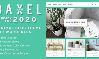 Premium WordPress Theme name: Baxel