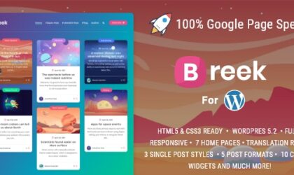 Premium WordPress Theme name: Breek