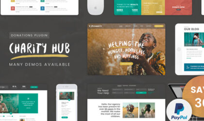 Premium WordPress Theme name: Charity