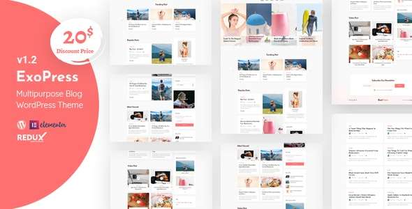 Premium WordPress Theme name: Exopress