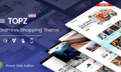 Premium WordPress Theme name: TopZ