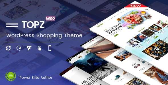 Premium WordPress Theme name: TopZ