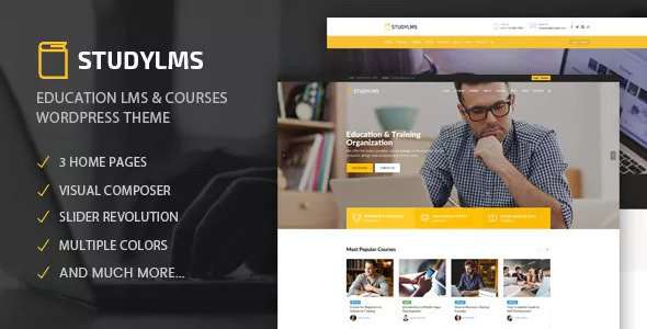 Premium WordPress Theme name: Studylms