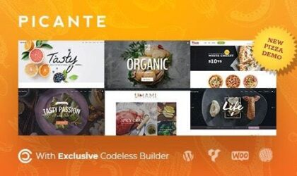 Premium WordPress Theme name: Picante