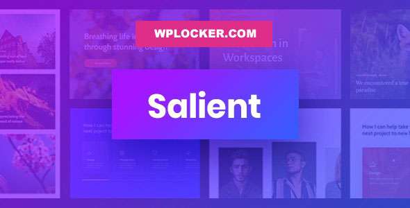 Premium WordPress Theme name: Salient