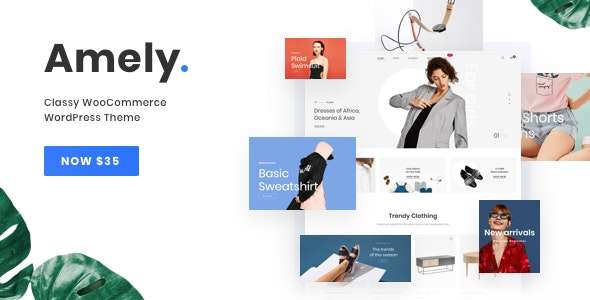 Premium WordPress Theme name: Amely